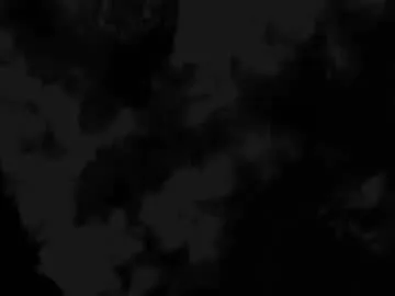 AvrilBonet – webcam model profile photo Image 11