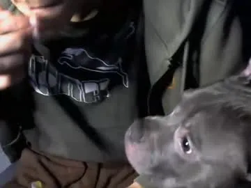 sofie_diva – webcam model profile photo Image 9