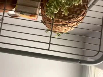 EmiliaWalker – webcam model profile photo Image 8