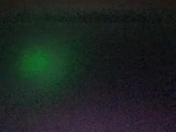 poisonflowers – webcam model profile photo Image 14