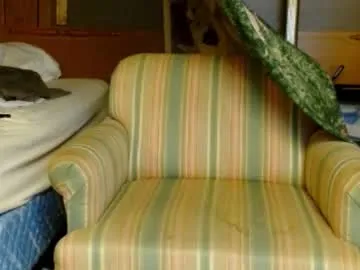 AyannaSun – webcam model profile photo Image 17