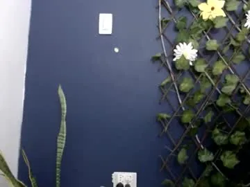 topalphaboss – webcam model profile photo Image 19