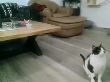 brownboy6999 – webcam model profile photo Image 7