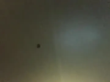 puneripiya – webcam model profile photo Image 11