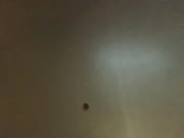 puneripiya – webcam model profile photo Image 6