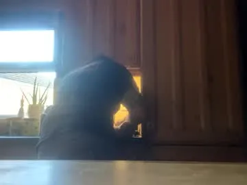 hornyasscouple1009 – webcam model profile photo