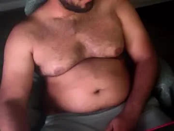 ibear_chat Image 3