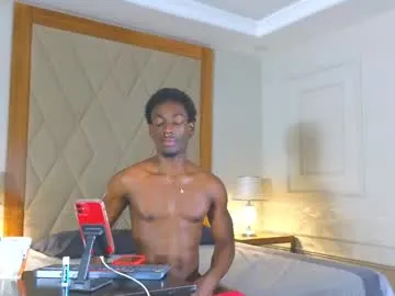 janstallion Image 2