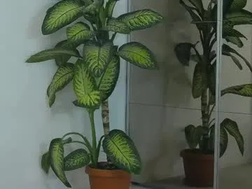 lakshmi_rai – webcam model profile photo Image 2