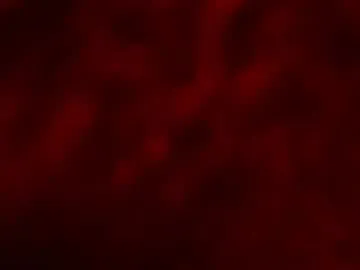 cori_paige – webcam model profile photo Image 15