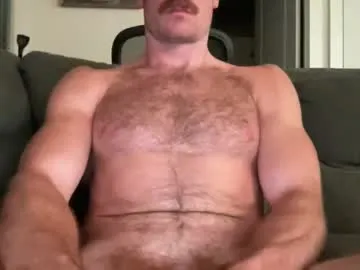 EmiliaWalker – webcam model profile photo Image 15