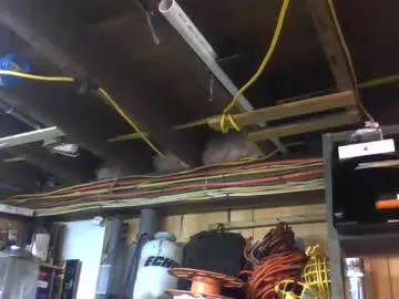 beaute_fatale – webcam model profile photo Image 14