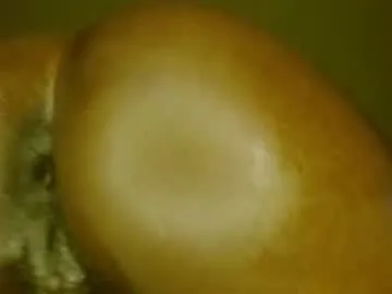 calehot98 – webcam model profile photo Image 3