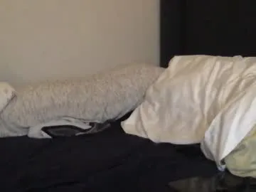 brownboy6999 – webcam model profile photo Image 13