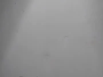 cutexxalice – webcam model profile photo Image 19