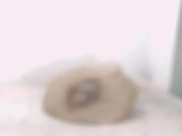 toadboys – webcam model profile photo