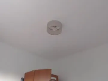 splendid_dolls – webcam model profile photo Image 7