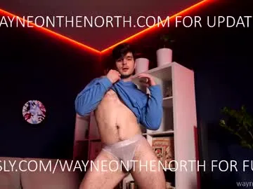 waynenorth Image 4