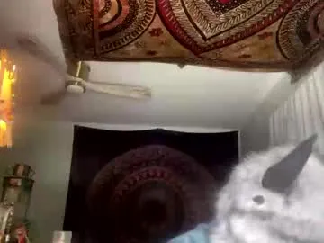 Carine cam session Image 2